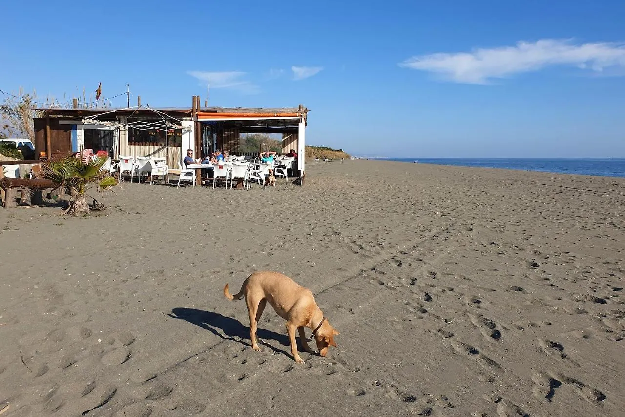 Rustic Country Cottage Benamargosa 度假居