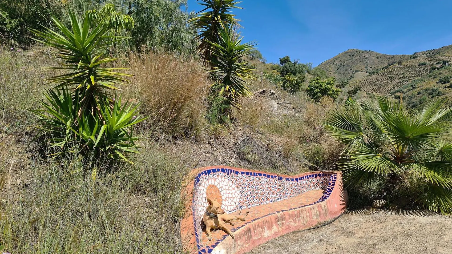 Rustic Country Cottage Benamargosa 0*,  Spain