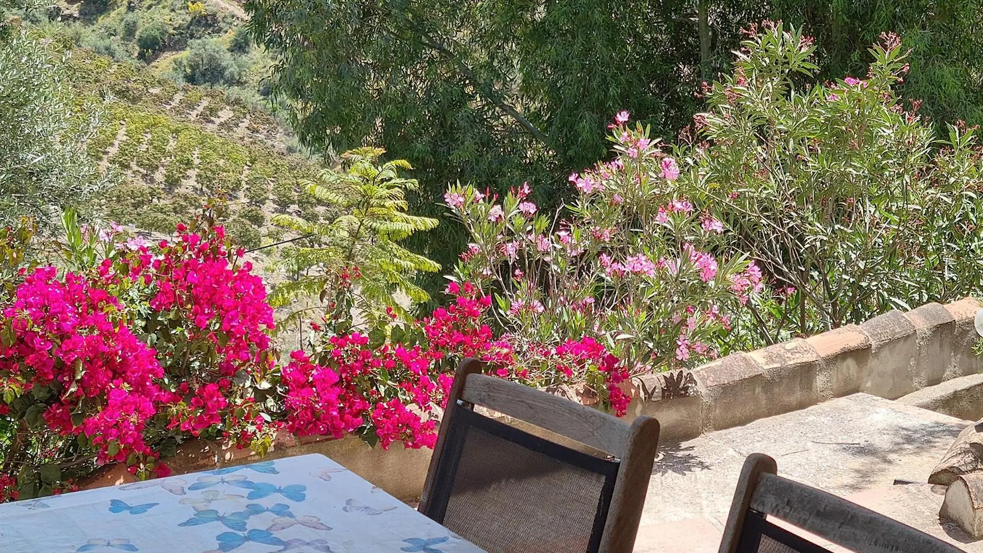 Rustic Country Cottage Benamargosa Tatil Evi